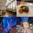 네추럴 팜 | 영종도 가볼만한곳, 인스파이어 가든 팜 카페 세미 뷔페 솔직후기 (ft. 오로라 공연 시간)