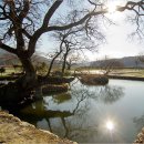 절부 화순최씨 정려각 이미지