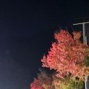 주봉 | 청송 주왕산 단풍산행 후기 - 주봉코스 명소 정리