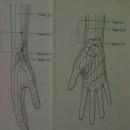십사경요혈주치가(十四經要穴主治歌)-수부(手部). 이미지