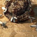 팔도농장 이미지