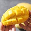 망고 쇼핑하우