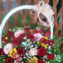 샤론의꽃 이미지