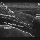 가다정한의원 이미지