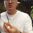 [신혼여행-후쿠오카] 맛집 소개, 유후인 투어 (펀 트립, 타비 투어, 이명호 가이드님)