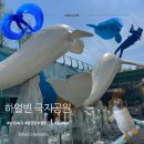 【재능기부강의】 ★그림책 생각의 날개가 훨훨★ | 두 개의 강연