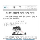 소나무 병충해 방제 작업 안내 이미지