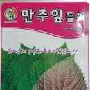 장춘종묘사 이미지