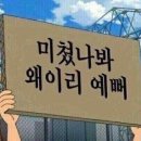 와이리 예쁘노