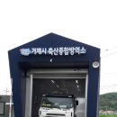 거제시 축산종합방역소 뉴스1