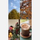 땅콩 게임장 | ☕️ 일상기록 | 2025년 11월 3-4주차, 대전 소제동 카페거리, 화양연화 밤라떼, 세종맛집 포스팅, 이응...