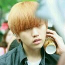 노랑머리 이미지