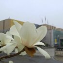 키웨스트 커피 이미지