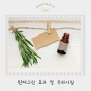 (주)윈터그린 이미지