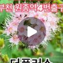 DC 생활용품할인점 이미지