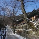 천수만목장 2 이미지