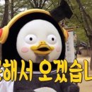 본전집 이미지