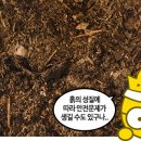 흙개발공인중개사사무소 네이버블로그