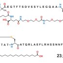 글린티드 이미지
