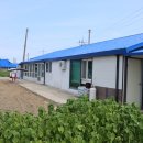 원평 민박 이미지