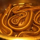 꼼장어네 이미지