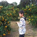 시우네농장 이미지