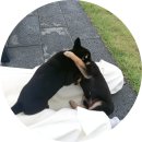 황산뻘 | 강화도 카라반 가족 여행 후기