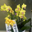 당진시구급차 이미지