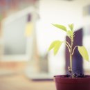 씨스페이스 이미지