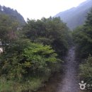 양구콩세알펜션
