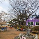 양평식당 | 서울 근교 맛집 양평 애견 동반 식당 예마당 단호박 영양통밥 후기