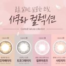 눈빛안경원 이미지