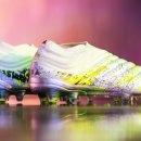 유니포리 이미지