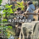 호암공원생태전시관 | [담양 여행] 아이들과 함께한 담양 개구리생태공원 전시관 후기 (주차장, 운영시간)