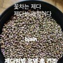 구절초 꽃차 제다완성(발효꽃차) 이미지