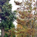 상동아름다운의원 이미지