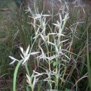 안심산길 이미지