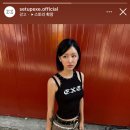 와이와이존 이미지