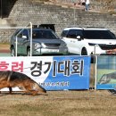 Gumiland 이미지