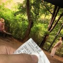 [영화] 여행자의 필요 후기 - 맨땅에 워딩