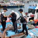 부산해양경찰서 영도파출소 이미지