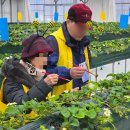 서강석농장 이미지