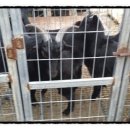 소가산농장 이미지