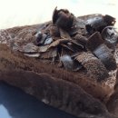 미엠아이 이미지