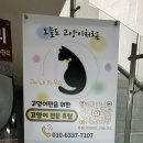 고양이 세수_설렘 이미지