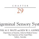 두뇌, 얼굴의 감각 Trigeminal Sensory System - 32페이지 교과서 이미지