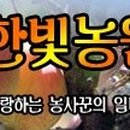 한빛농원 - 밀양시 하양지안길 4 | 한빛농원