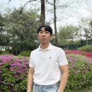 M-020 | 남자 폴로 카라티 반팔, 사이즈 상세 후기, 커스텀 슬림핏 정품 할인팁까지