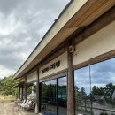 길은목장 | 제주 알파카목장 “도치돌 알파카 목장” 후기