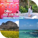 신나는 도자기 놀이(4월) | 제주 서쪽 아이와 가볼만한곳 제주도 여행